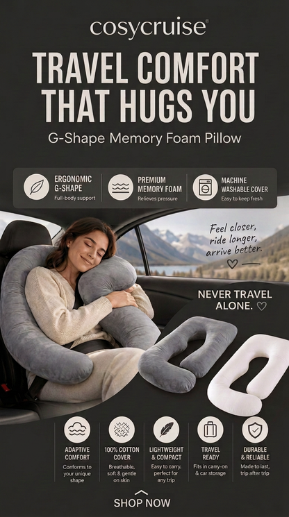 Car Companion Pillow