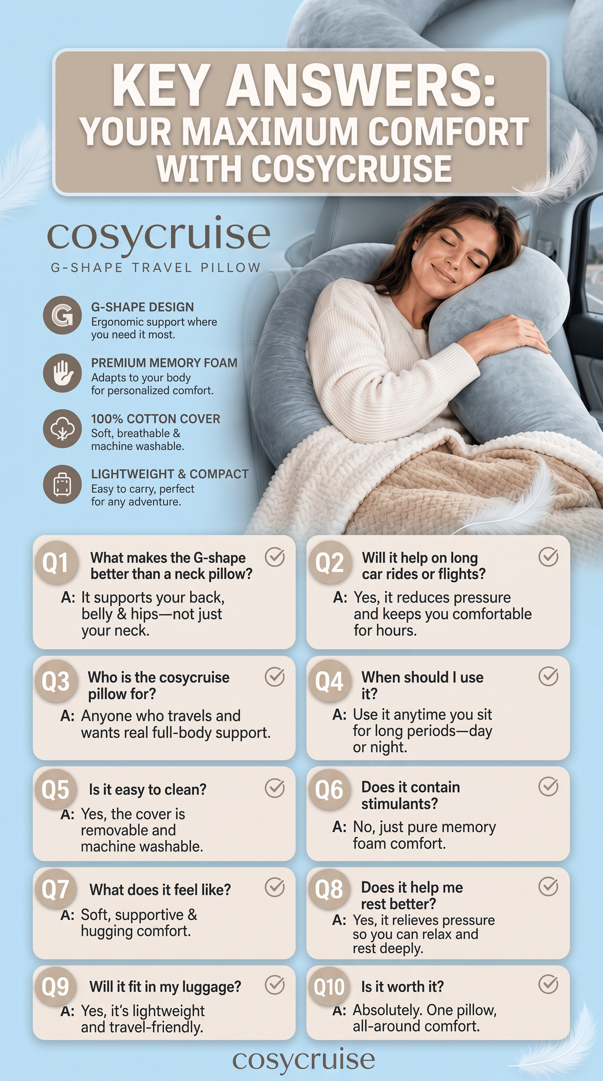 Car Companion Pillow